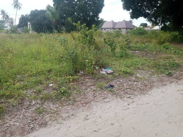 Kiwanja kipo Goba mwisho 40ft kwa 40ft